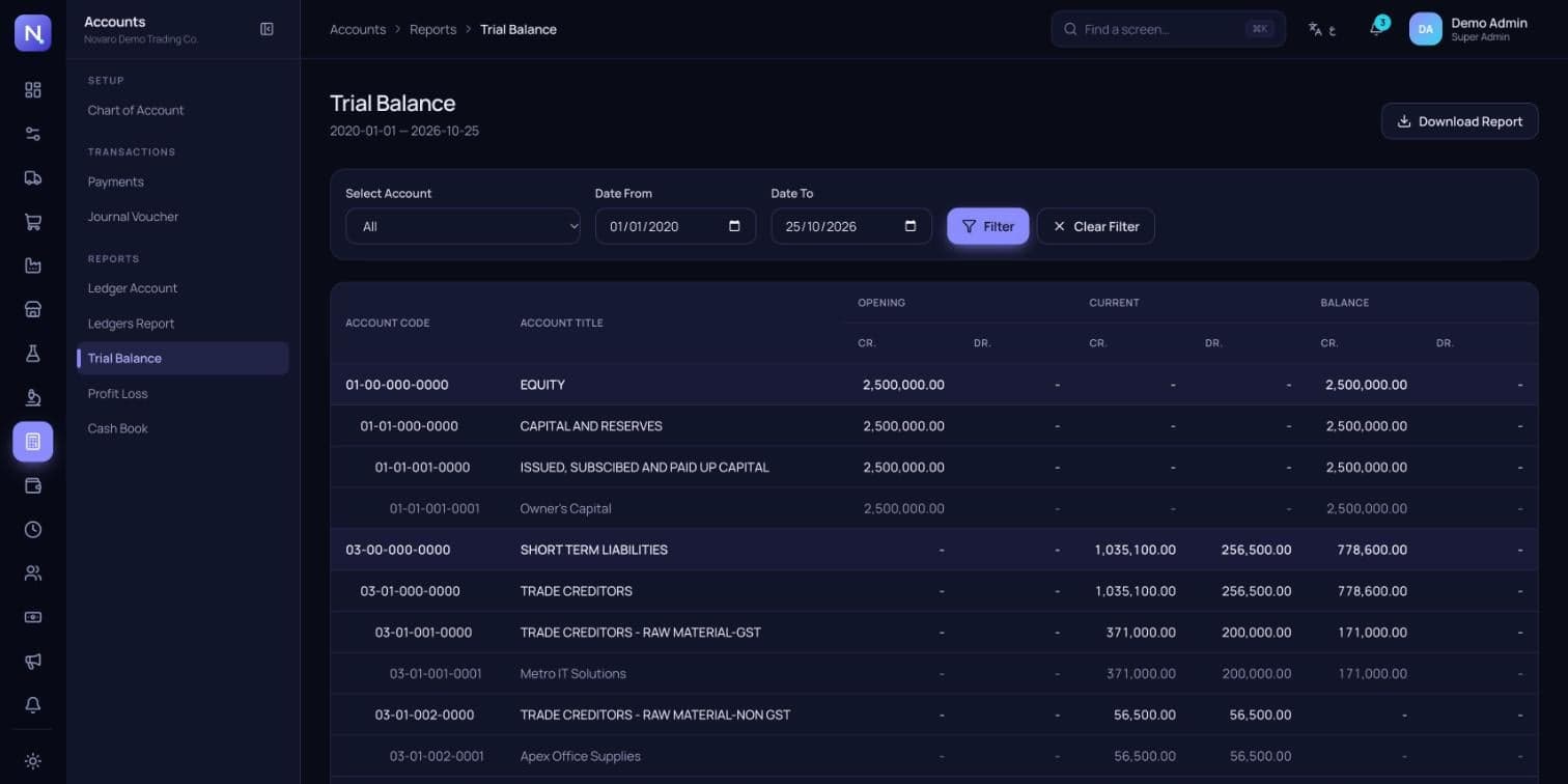 Enterprise Suite: Trial balance from the day's transactions, in four-level account codes